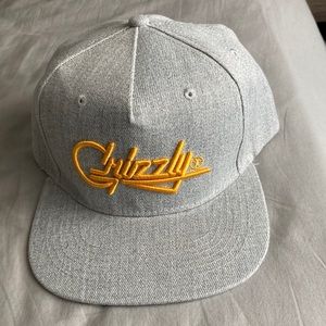 Grizzly Flat Brim Hat